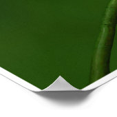 Poster Chaméléon de Johannes (Coin)