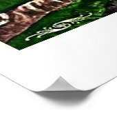 Poster Chameleon Life (Coin)