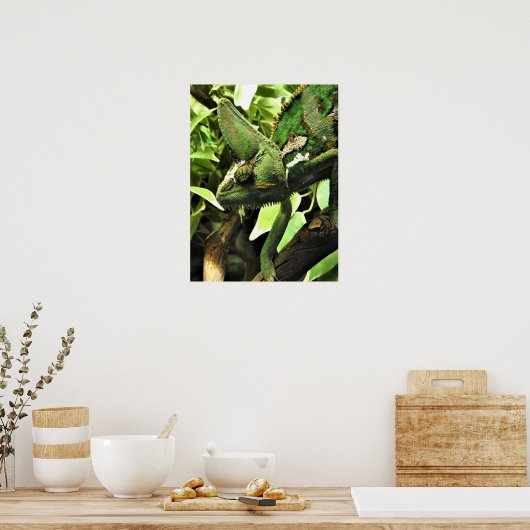 Poster Chameleon voilé (Cuisine)