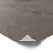 Poster Chameleozoïde (Coin)