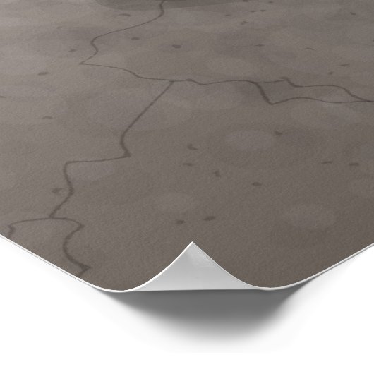 Poster Chameleozoïde (Coin)