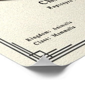 Poster Chamois Zoology Series (Coin)