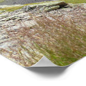 Poster Chamonix Ibex (Coin)