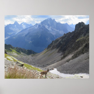 Poster Chamonix Ibex