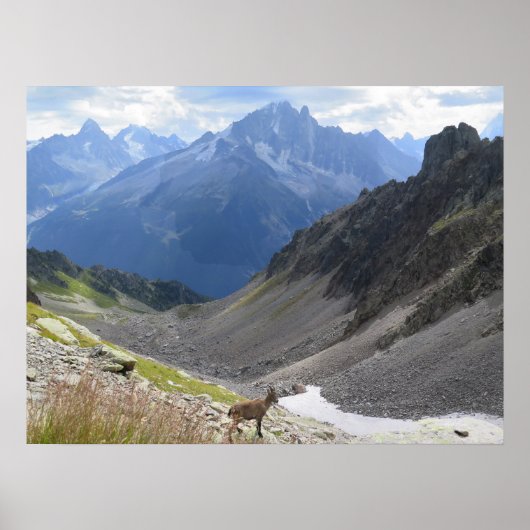 Poster Chamonix Ibex (Devant)