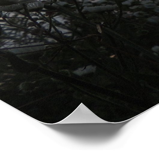 Poster Champ couché de soleil de fleurs sauvages (Coin)