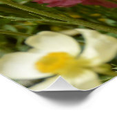 Poster Champ d'anémones (Coin)