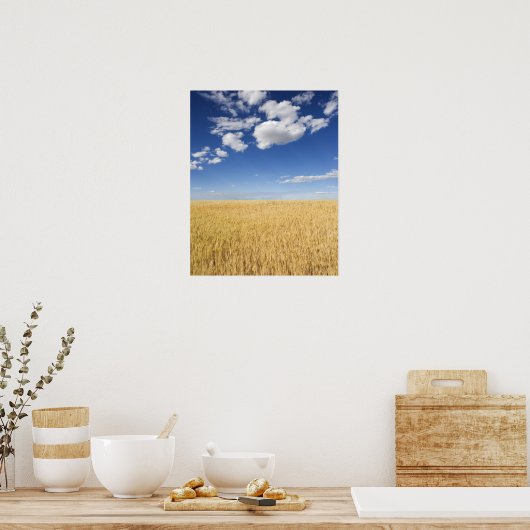 Poster Champ de blé (Cuisine)