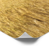 Poster Champ de blé (Coin)