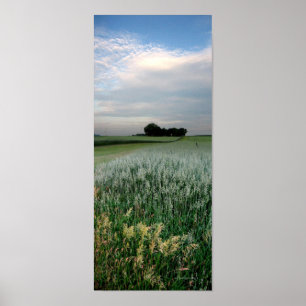 Poster Champ de blé agricole du Midwest