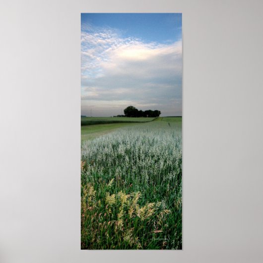 Poster Champ de blé agricole du Midwest (Devant)