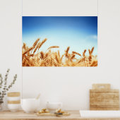 Poster Champ de blé contre ciel bleu (Cuisine)
