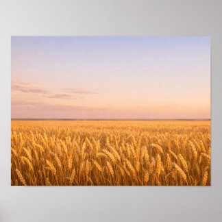 Poster Champ de blé doré au coucher de soleil pastel Pays