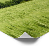 Poster Champ de blé et distante Monteriggioni, dans (Coin)