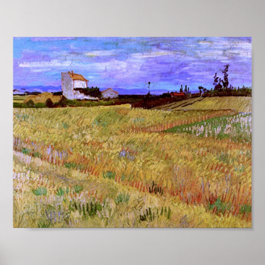 Poster Champ de blé (F564) Van Gogh Fine Art (Devant)