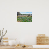 Poster Champ de Bluebonnet, Austin, Texas (Cuisine)
