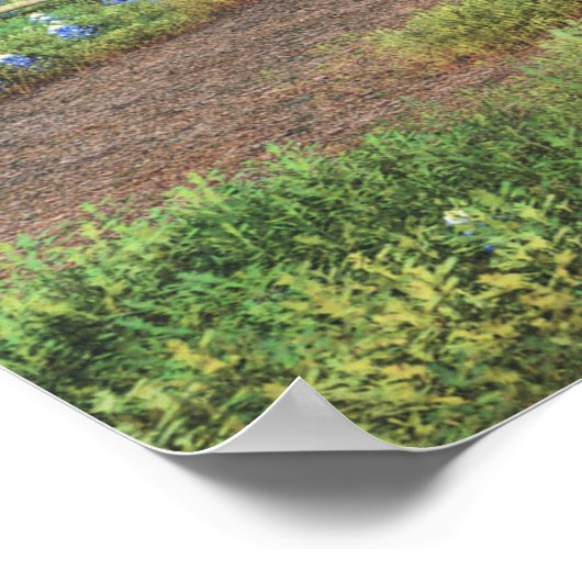 Poster Champ de Bluebonnets (Coin)