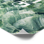 Poster Champ de chou : vert&violet (Coin)