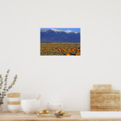 Poster Champ de citrouilles de Flathead Valley Montana (Cuisine)