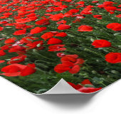 Poster Champ de Coquelicots (Coin)