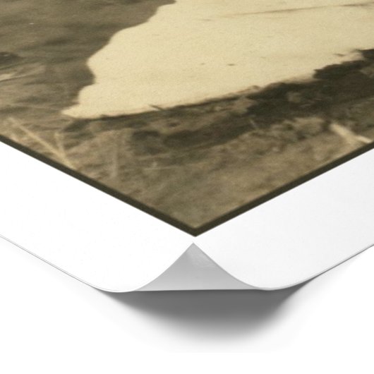 Poster Champ de coton (Coin)