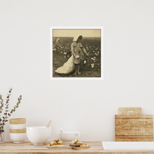 Poster Champ de coton (Cuisine)