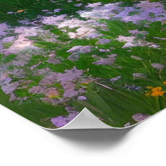 Poster Champ de couleurs majestueuses (Coin)