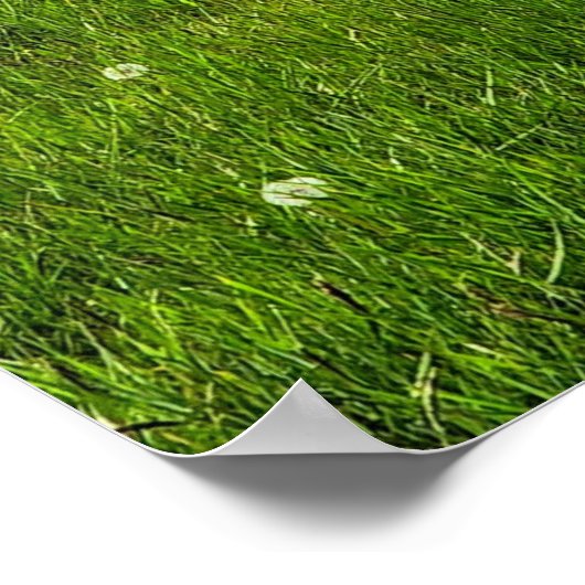 Poster Champ de fleurs (Coin)