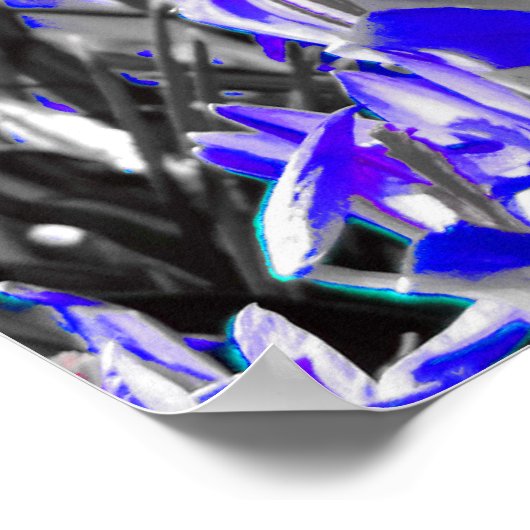 Poster Champ de fleurs bleu (Coin)