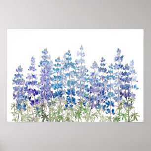 Poster champ de fleurs de lupin bleu violet horizontal