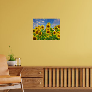 Poster Champ de fleurs de tournesol