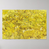 Poster Champ de fleurs jaunes, Vincent van Gogh (Devant)