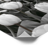 Poster Champ de fleurs noir et blanc (Coin)