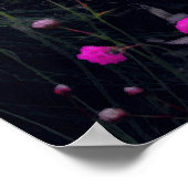 Poster Champ de fleurs roses (Coin)