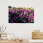 Poster Champ de fleurs roses (Cuisine)