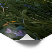 Poster Champ de fleurs sauvages (Coin)