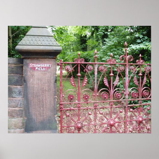 Poster Champ de fraises (Devant)