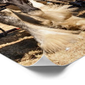 Poster Champ de labourage des chevaux (Coin)