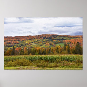 Poster Champ de maïs du Vermont en automne