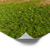 Poster champ de maïs et ciel (Coin)