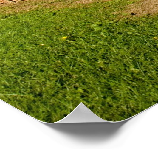 Poster champ de maïs et ciel (Coin)