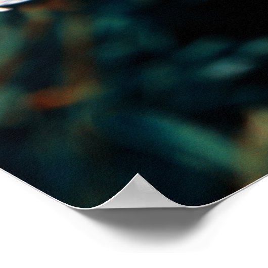 Poster Champ de marguerite (Coin)