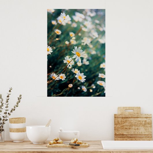 Poster Champ de marguerite (Cuisine)