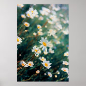 Poster Champ de marguerite (Devant)