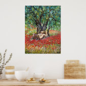 POSTER CHAMP DE PAN, OLIVIER ET COQUELICOTS (Cuisine)