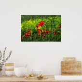 Poster Champ de pavot (Cuisine)
