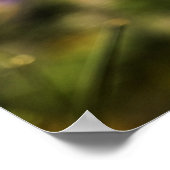 Poster Champ de pavots dansants (Coin)