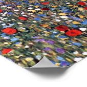 Poster Champ de pavots, Gustav Klimt (Coin)