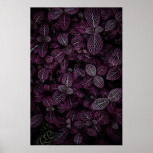 POSTER CHAMP DE PLANTE DE POURSUITE