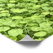 Poster Champ de plante vert (Coin)
